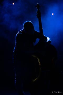 Kjer raste kultura (24)